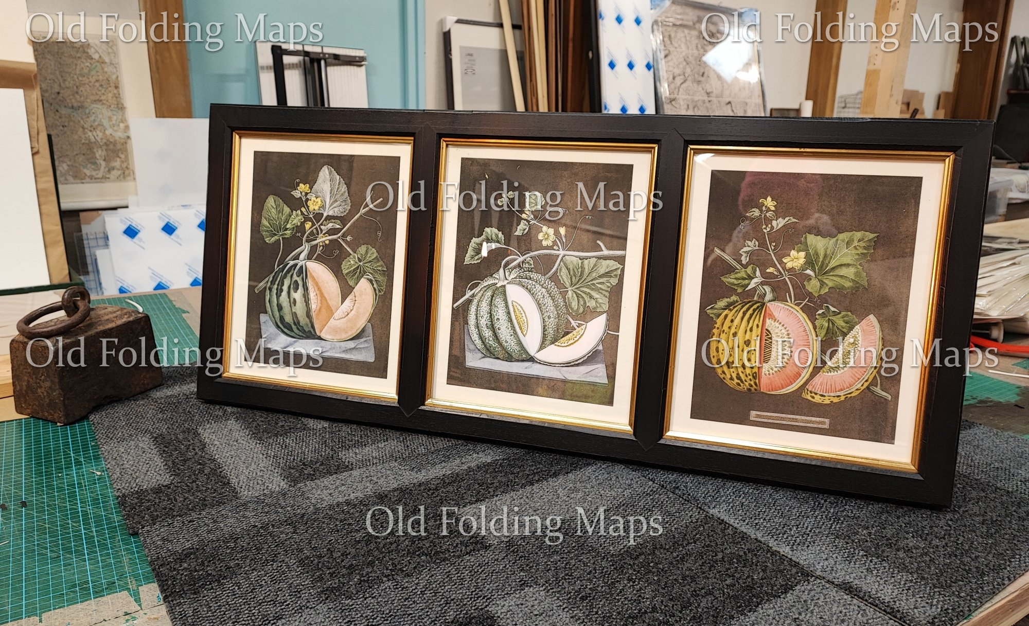 Framed Antique Illustration Triptych - Melons circa 1812